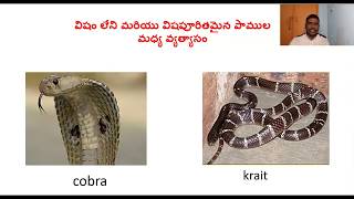 Idenifications of poisonous snakes విషపూరిత పాములను గుర్తించడం