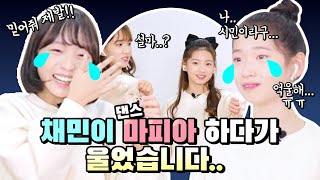 [ENG/JPN] 비타민 디얼미 마피아 댄스 하다가 모두 울었습니다 서로 믿지 못하는 마피아 댄스! 과연 마피아는 누구일까요?! ｜클레버TV