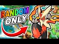 Pokémon Y Hardcore Nuzlocke - Randomizer! (No items, No overleveling)