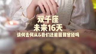 双子座，未来16天，该何去何从\u0026我们还能回到曾经吗？