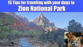 Traveling Utah With Dogs Made Easy With These Tricks