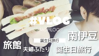 【夫婦vlog】贅沢なひととき1日目【誕生日旅行】