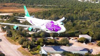 beautiful view of the plane when landing at the airport eps 1005