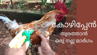 Nadan Kozhi | കോഴിപ്പേൻ തുരത്താൻ ഒരു നല്ല മാർഗം | Poultry Tick Removal