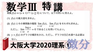 大阪大学2020理系第1問でじっくり学ぶ (数学III特講・微分/グラフ③)