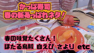 【お寿司５分食レポ】 春の新あっぱれネタ