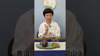 普洱生茶和普洱熟茶的区别wechat: zcj049#普洱茶#茶知识#茶