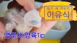 아기 새 이유식 방법, 양육 Tip