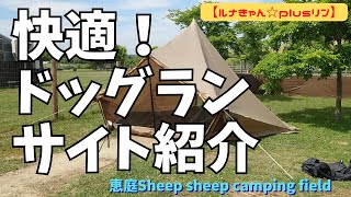 【北海道キャンプ　快適！ドッグランサイト紹介　ルナきゃん☆plusリン（Sheep sheep camping field）