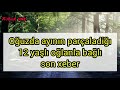 oguzda ayi parcalandigi deyilen 12 yasli usaqla bagli son xeber