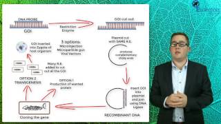 SACE2 Biology Essentials Concept Video - Biotechnology