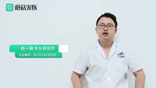 兩只貓一直打架怎么辦