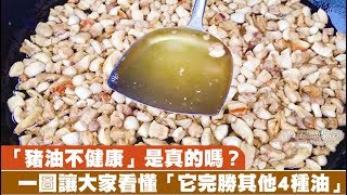 「豬油不健康」是真的嗎？　一圖讓大家看懂「它完勝其他4種油」