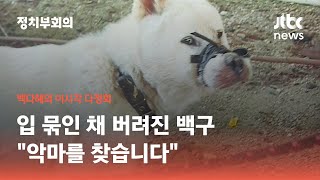 고무줄로 입 묶인 채 버려진 백구…\