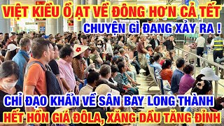KHÓ TIN VIỆT KIỀU Ồ ẠT ĐÔNG HƠN SAU TẾT I HẾT HỒN GIÁ ĐÔ LA XĂNG DẦU TĂNG CHÓNG MẶT
