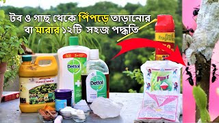 How to remove ants from plants & soil 🐜 টব ও গাছ থেকে পিঁপড়ে তাড়ানোর বা মারার সহজ ১২টি ঘরোয়া উপায়