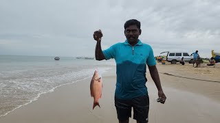 ஒரு ரூபாய் தூண்டிலில் வரிசையா பிடித்த மீன்கள் Fish caught in a row on a rupee bait