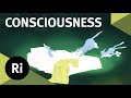 What is Consciousness?