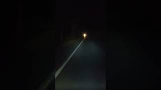 #TrandingShorts #ShortsEnjoy #Night# #Wildlife#Forest# Road