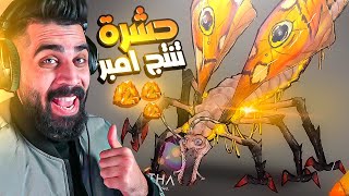 اخبار ارك | الحشرة الي تنتج امبر فازت بالتصويت 😍🔥 Ark Survival