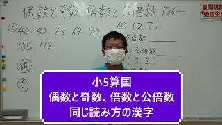 ナンバーワンゼミナール　小5算国　22,7,11 ダイジェスト版(偶数と奇数、倍数と公倍数・同じ読み方の漢字)