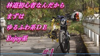 林道初心者なんだからEnjoy系DEゆるふわ系　シェルコTY125adventure【モトブログ】