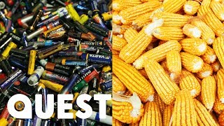 Recycled Batteries Are Used To Grow Delicious Corn | Made By Destruction