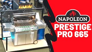 Napoleon Prestige Pro 665 RSIB Overview | Barbecues Galore