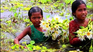 আমাদের গ্রাম বাংলার অপরুপ সৌন্দর্য