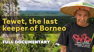 Tewet, the last keeper of Borneo I SLICE I Full documentary