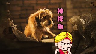 唐唐說電影：這狗狗的演技太逆天了！ #唐唐與大腸 #搞笑 #侃片 #電視劇解說 #中國電視劇