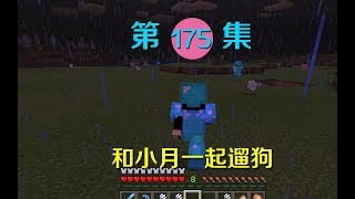 我的世界阿阳历险记175：刷到无限弓附魔属性，对打末影龙很有用