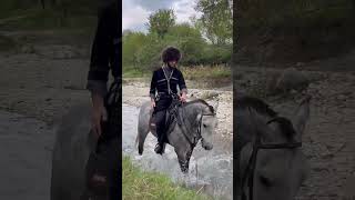 Очень красивый и мощный жеребец  #horse #chechen