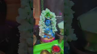 Krishna Jayanthi celebration @home#shorts#krishnapoojai in tamil