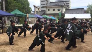 信州大学YOSAKOI祭りサークル 和っしょい よっちょれ   松本かえる祭り