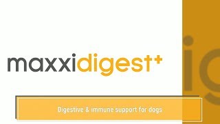 maxxidigest+ is an advanced digestive \u0026 immune support for dogs