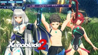 【ゼノブレイド2】全レアブレイド Lv4必殺技集【Xenoblade2/Switch】