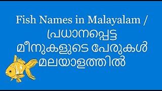 #Fishnamesinmalayalam പ്രധാനപ്പെട്ട മീനുകളുടെ പേരുകൾ മലയാളത്തിൽ|English and Malayalam Names of Fish