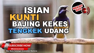 Download Mp3 🔴FULL Isian Kunti Tengkek Udang Bajing Kekes Cucak Cungkok Gacor Panjang Volume TEMBUS ❗️