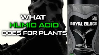 This Is What Humic Acid Does For Plants