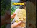 Extreme Honeycomb harvesting 🍯 |Harvesting honey from beehive 🐝 EP95 #trending #shorts #satisfying