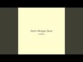Storm Whisper Silver