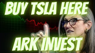 Cathie Wood Is BUYING Tesla Stock! (TSLA Stock Forecast)
