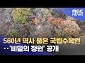 560년 역사 품은 국립수목원‥'비밀의 정원' 공개 (2024.11.25/뉴스투데이/MBC)