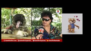 20crore dog in Bengaluru||ಬೆಂಗಳೂರಿನಲ್ಲಿ 20 ಕೋಟಿ ನಾಯಿ||