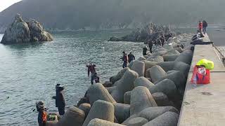 부산 가덕도 새바지 Busan Gadeokdo Daehang Saebagi Breakwater