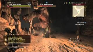 DDON ドラゴンズドグマ オンライン Lv40賞金首シルバーロアを倒してみた♪