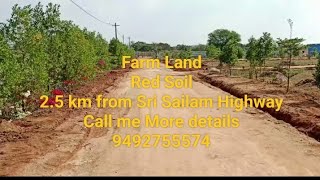 Farm Land nearby Pharma City Gudur Village 2.5km from Sri Sailam Highway 9500/- per Sq Yard