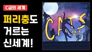 [C급의 세계] 고양이 비스무리한 것들의 대환장 파티 ‘캣츠’