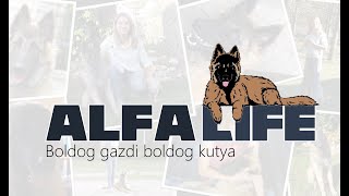 Alfa life: Heti összesítő: Megtörtént az ivartalanítás